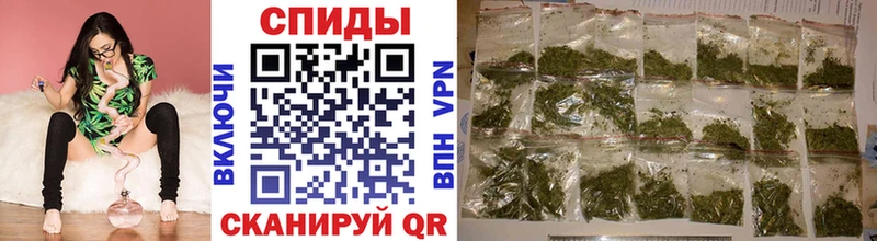 OMG ONION  где купить   Новоузенск  Бутират бутик 