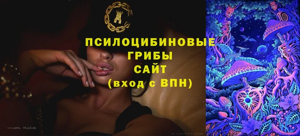 соль ск Балахна