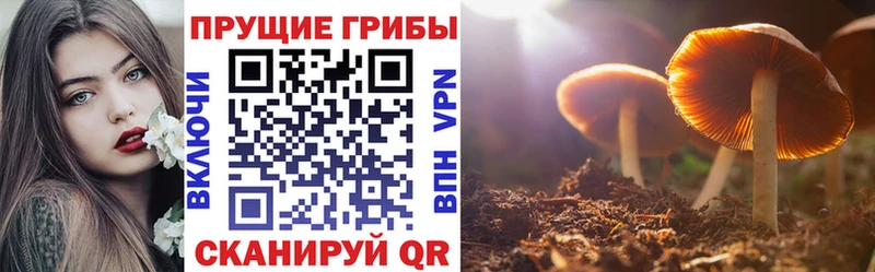 Псилоцибиновые грибы прущие грибы Новоузенск